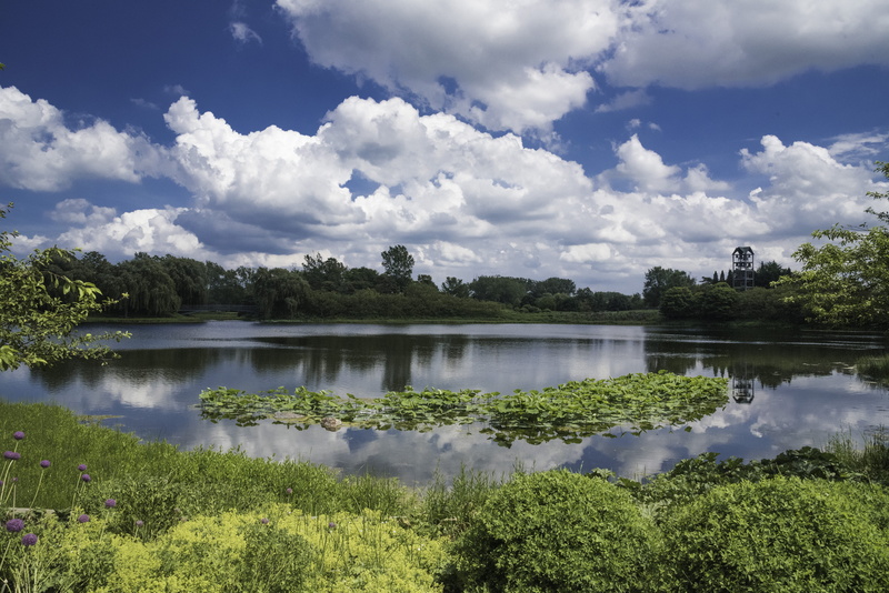 river, landscape, Chicago, growth, scenics, Botanical Gardens, Plants, blue, outdoors, nature, tranquil Scene, water, plant, gardens, idyllic, summer, green Color