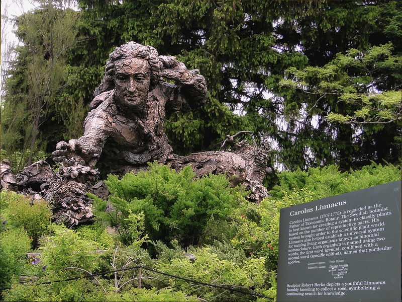 scientist, growth, male likeness, monument, no people, plant, script, the statue of, tree, garden, 2K, character, tribute, day, statue, botanical garden