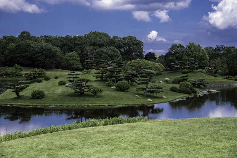 public domain, rural Scene, grass, scenics - nature, golf course, plant, nature, japanese, water, sky, outdoors, summer, scenic, chicago botanical gardens