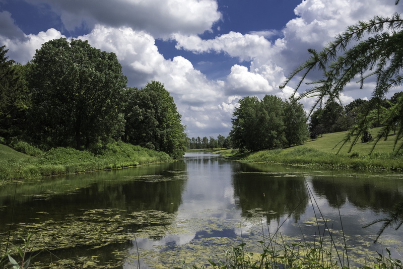 grass, nature, summer, Landscape, scenics, Chicago, reflection lake, chicago botanical gardens, no people, cloud - Sky, blue, outdoors, Botanical Gardens
