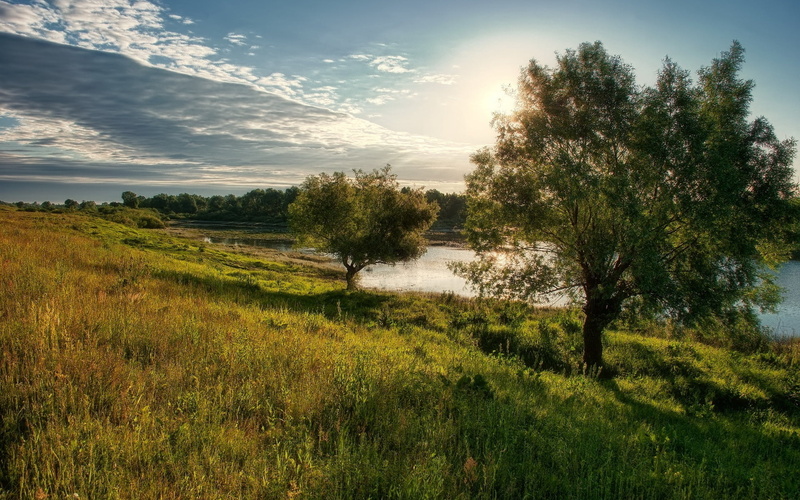 scenics - nature, outdoors, sky, beauty In Nature, leafed, no People, green Color, pasture, plant, trees, landscape, tranquility, cloudscape, springtime