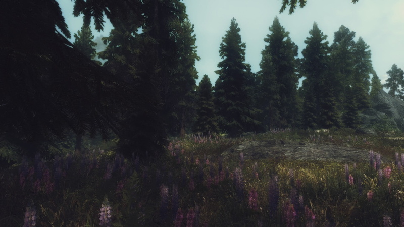 green color, growth, day, beauty in nature, petaled, nature, purple, scenics - nature, coniferous tree, bed, The Elder Scrolls V: Skyrim, 1080P, sky, plant