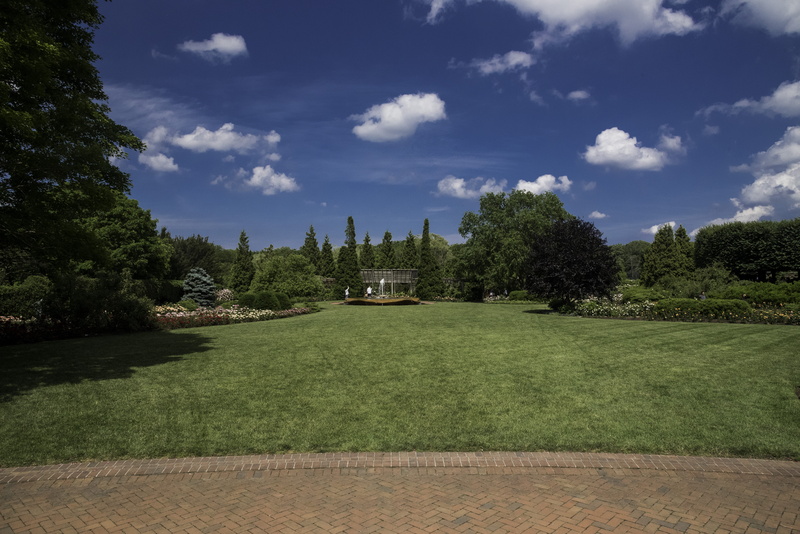 travel destinations, cloud - Sky, sky, public domain, lawn, growth, outdoors, Botanical Gardens, Chicago, history, tree, architecture, 5K, trees, plant
