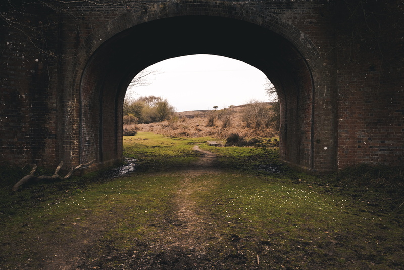 dungeon, bunker, pathway, building, day, corridor, old, the past, arch bridge, walkway, path, grass, light, ground, outdoors, history, plant, field, 5K