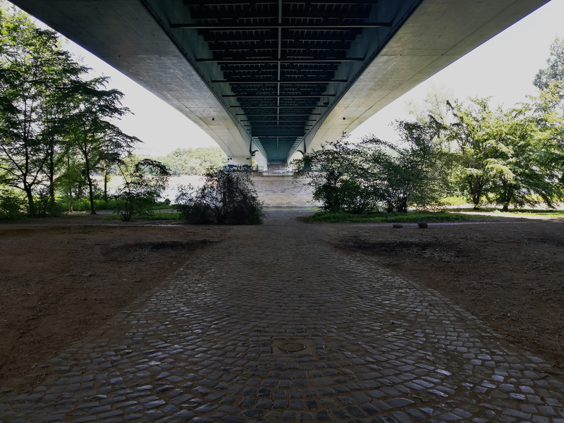 plant, day, water, vegetation, diminishing perspective, metal, tree, floor, 8K, concrete, footpath, street, bridge, germany, paving stone, structure, the way forward