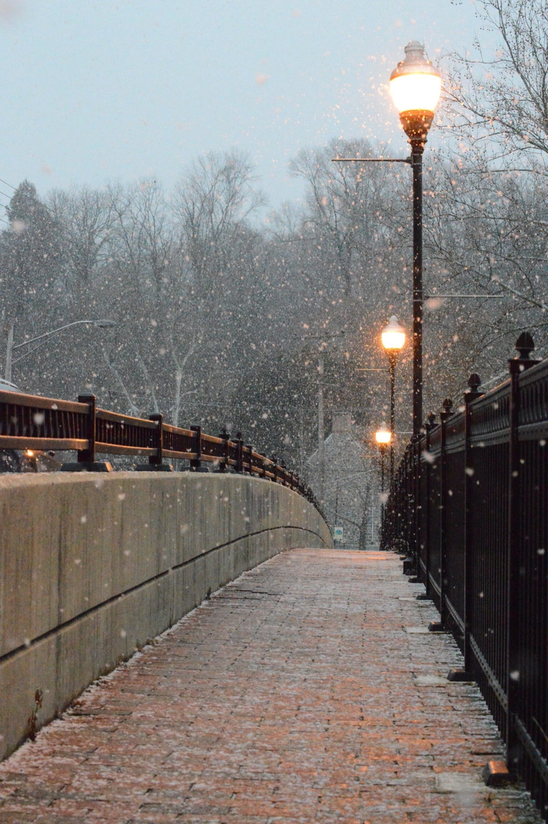 cold, 1080P, cobblestones, tree, outdoors, nature, the way forward, walk, city, architecture, bridge, street, diminishing perspective, light, way, peaceful
