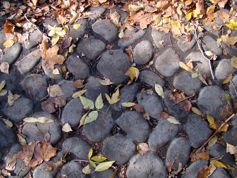 rock, bridge, leaf, stones, ground, outdoors, land, day, solid, plant part, dry, autumn, full frame, leaves, 2K, falling, high angle view, directly above