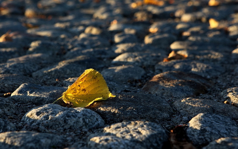 autumn, 1080P, cobblestone, bridge, Leaf