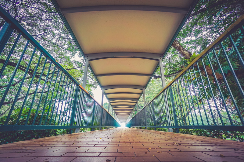 diminishing perspective, ceiling, railing, arch, bridge, trees, indoors, transportation, connection, no people, long, 4K, the way forward, architecture