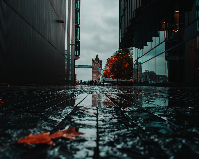 fall, city, rain, cobblestone, wet, Tower Bridge, 1080P, London