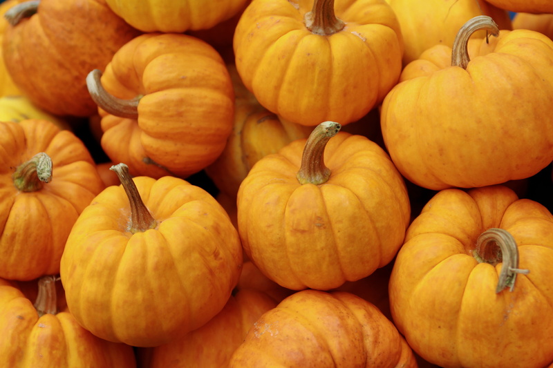 yellow, vitamins, ripe, high angle view, decoration, autumn, food, october, healthy, healthy eating, retail display, 5K, close-up, large group of objects