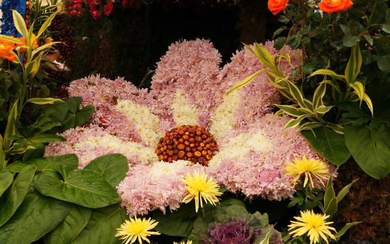 yellow, leaves, rare, 3d and abstract, love, flowers, flower, 1080P