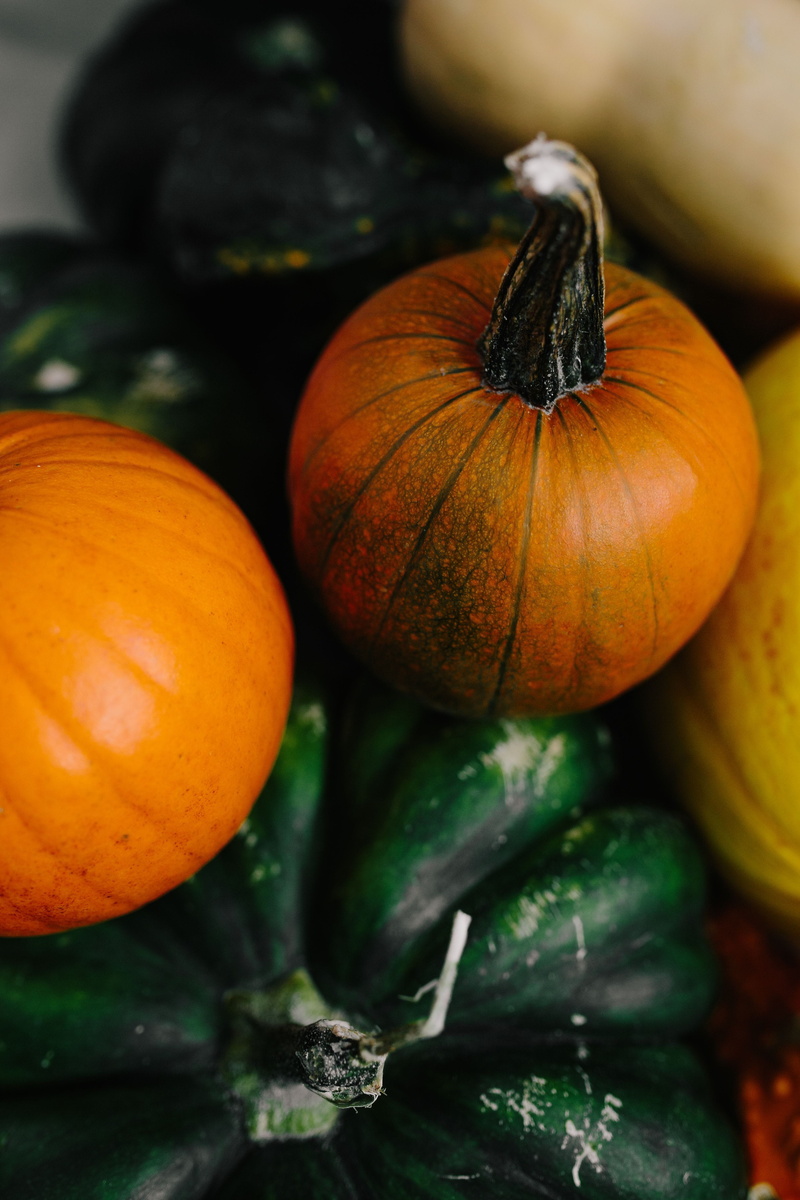 no people, orange color, pumpkin, still life, day, pumpkins, raw food, large group of objects, november, healthy eating, fruit, green color, freshness
