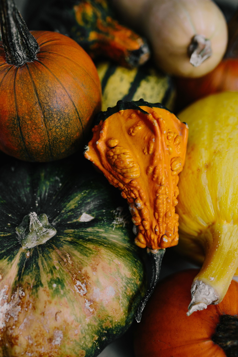 celebration, wellbeing, food, healthy, seasonal, november, health, close-up, food and drink, vegetable, freshness, indoors, selective focus, no people