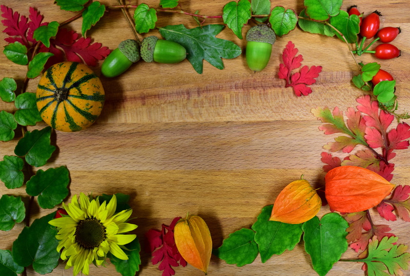 variation, multi colored, no people, leaf, 5K, herb, artificial, food and drink, pumpkin, indoors, rose hip, lampionblume, background image, acorn, directly above