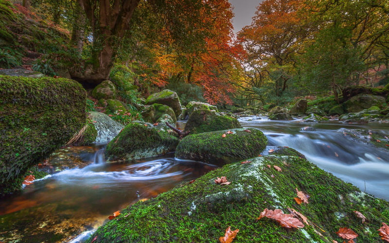 2K, stones, autumn, brown, national, Dartmoor national Park, rock, Devon, river, fragment, dartmoor, park, England, trees, moss