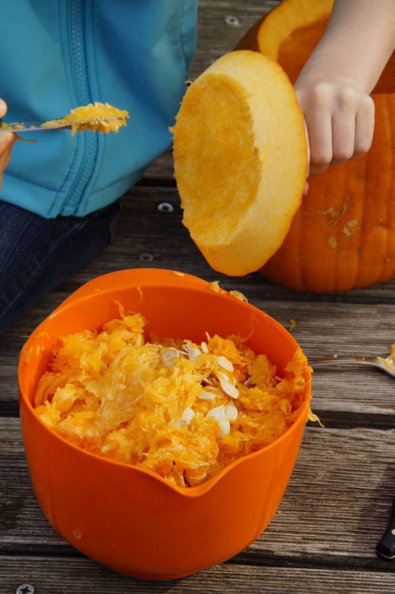 hollow out, interior, hand, lid, orange, men, wood - material, 5K, wellbeing, finger, autumn decoration, food, scrape off, pumpkin, carve, october, trick or treat