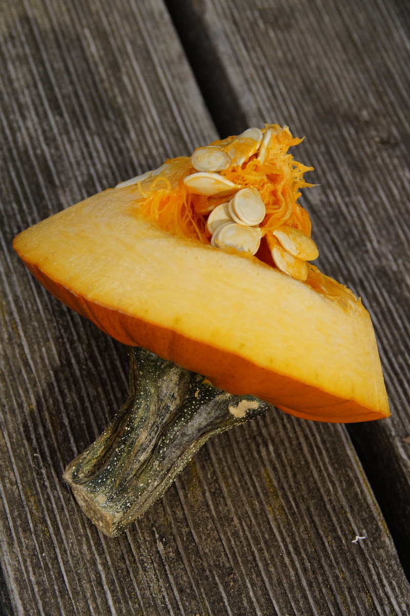 october, autumn decoration, vegetables, lid, day, high angle view, stalk, freshness, food, diy pumpkin ghost, orange color, no people, flower, jack olantern