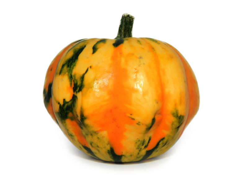 4K, 31 october, indoors, pumpkins autumn, healthy eating, studio shot, freshness, fruit, white background, no people, plant, pumpkin, orange Color, vegetable