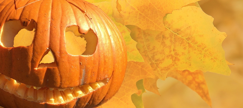 photography, pumpkin, food, jack, o, autumn, choose, autumn fruits, jack o lantern, indoors, anthropomorphic face, creepy, freshness, nature, 4K, october