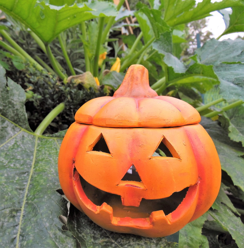 halloween, food, pumpkin, day, anthropomorphic face, deco, harvest, human representation, decorative squashes, orange color, 2K, happy halloween, growth