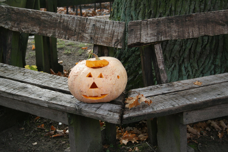 orange color, celebration, 2K, art and craft, food and drink, orange, halloween, food, creativity, anthropomorphic face, vegetable, 31 october, face, pumpkin