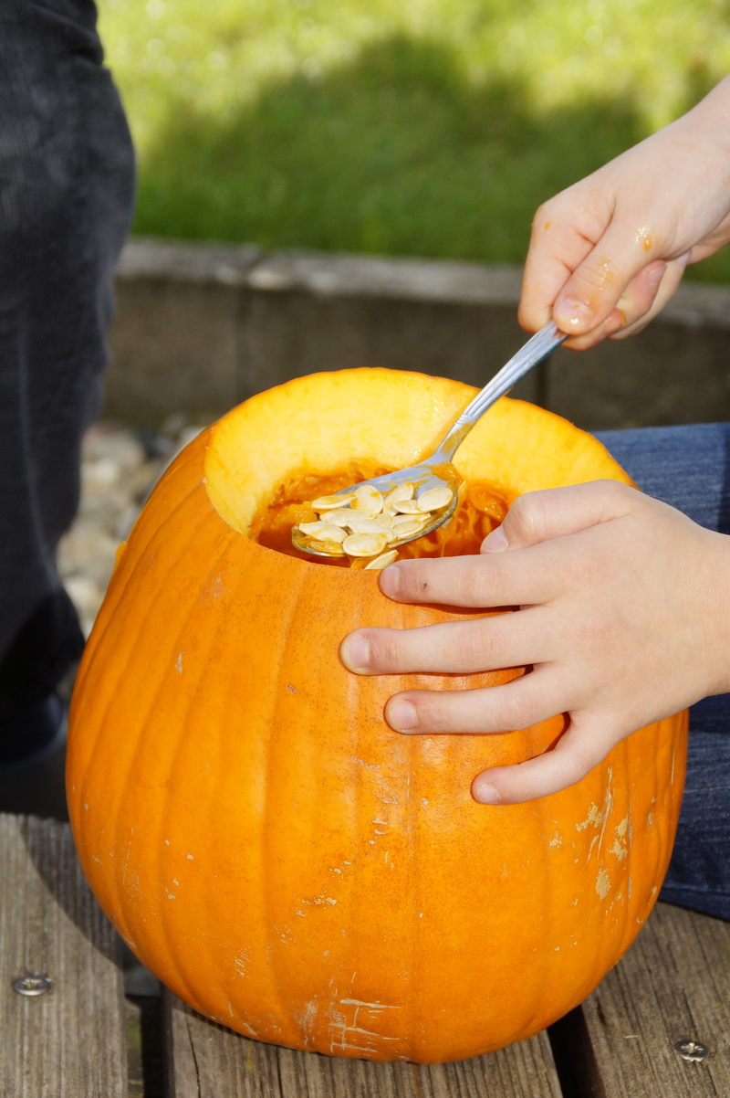 autumn decoration, empty, human body part, inner, food and drink, lifestyles, one person, child, outdoors, carve pumpkin ghost, freshness, orange, leisure activity