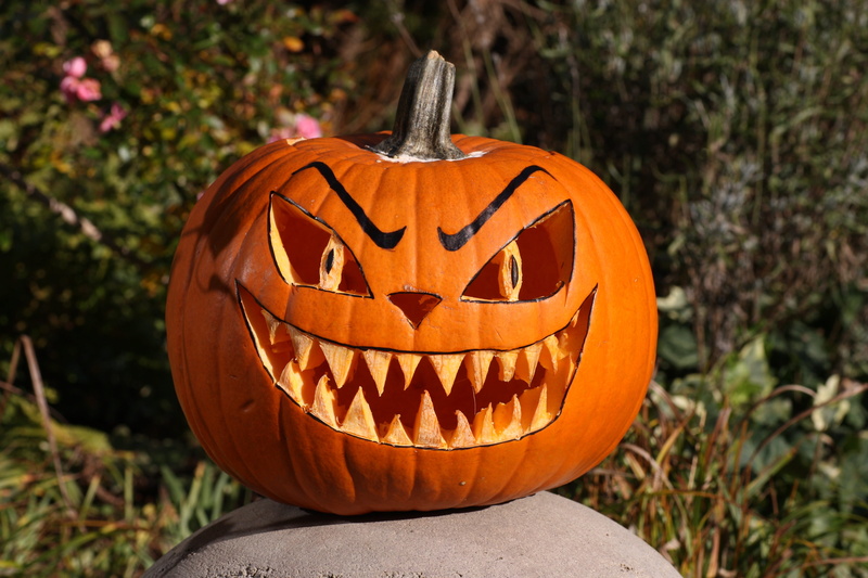 spooky, vegetables, celebration, face, 31 october, creativity, halloween, outdoors, craft, anthropomorphic face, helloweenkürbis, jack o lantern, fash