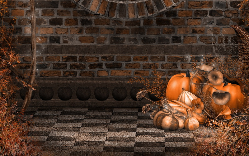 spiderweb, 31st October, Halloween, holiday, Halloween, All Hallows day, jack-o-lantern, 2K, wall, toadstool, web, All saints day, bricks, The eve of all saints day