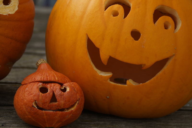 child, food, small, no people, halloween, fash, pumpkins, cheeky, food and drink, large, craft, 5K, carve pumpkin ghost, jack o lantern, carving - craft product