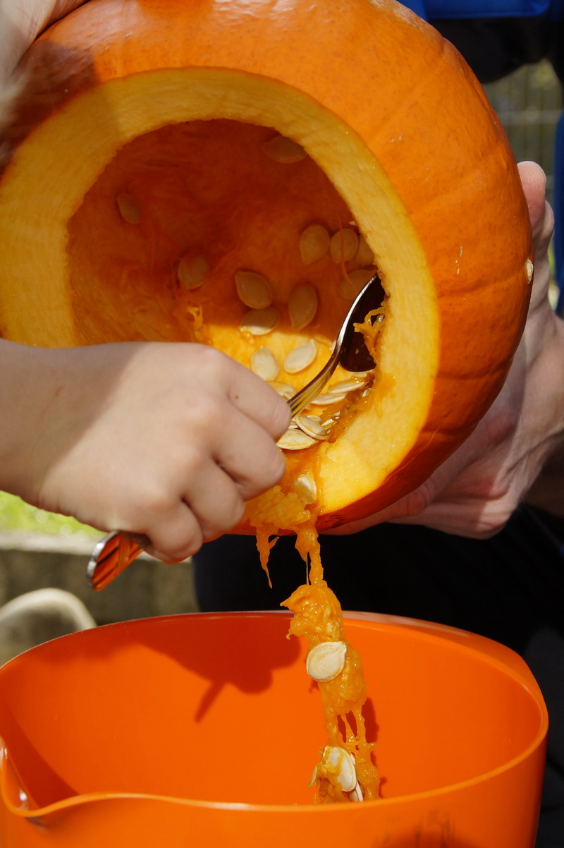 cooking, holding, preparation, autumn decoration, hand, close-up, trick or treat, october, jack olantern, kitchen utensil, carve, carve pumpkin ghost, vegetables