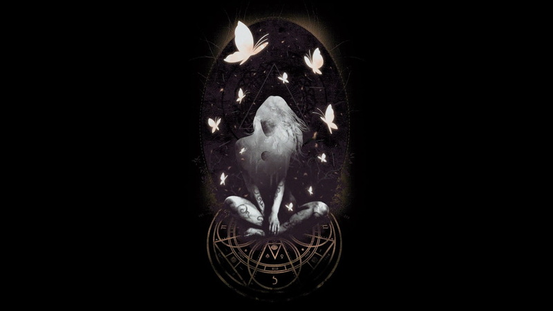 magic circle, sea, vertebrate, animal, geometry, no people, copy space, black color, butterfly, close-up, animal wildlife, studio shot, one animal, animal body part