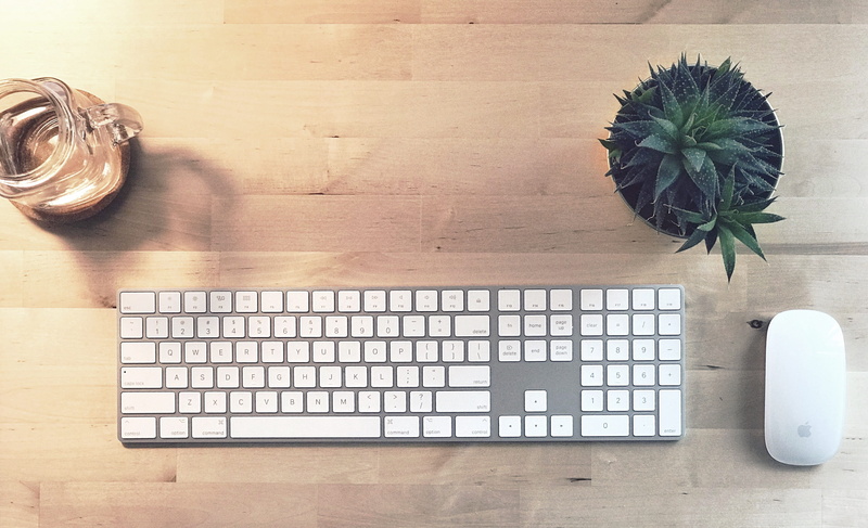 still life, no people, indoors, technology, freshness, flower, communication, succulent on wood desk, houseplant, nature, wood - material, directly above