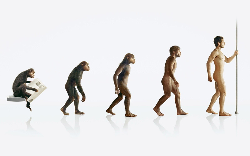 1080P, human, evolution, apes
