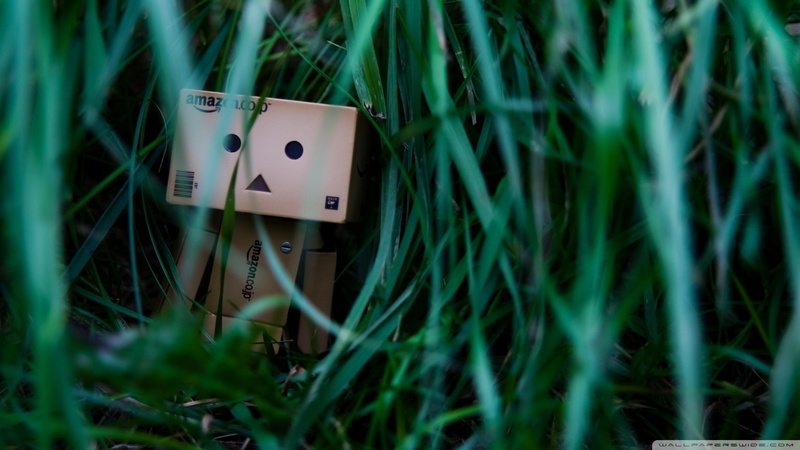 land, grass, art and craft, outdoors, leisure games, growth, nature, Amazon, plant, number, selective focus, close-up, no people, field, communication