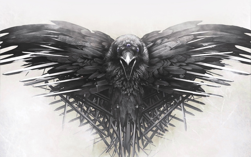 animal, animal wing, eagle, vertebrate, no people, of, thrones, black color, one animal, flying, die, game, spread wings, animal wildlife, day