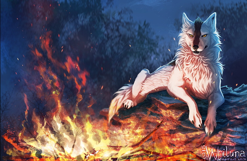 day, plant part, outdoors, animal themes, fire - natural phenomenon, representation, furry, nature, wolf, vertebrate, 720P, leaf, orange color, water