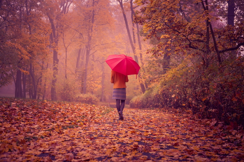 nature, caucasian Ethnicity, autumn collection, people, weather, back, girl, season, red, lifestyles, adult, leaf, young Adult, fashion, red umbrella, full length