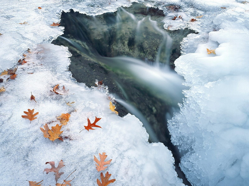 plant part, cold temperature, flowing water, forest, autumn, rock, water, winter, outdoors, season, no People, frozen, frost, landscape, 720P, snow, scenics