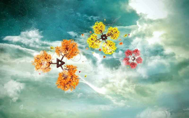 colorful, flowering plant, clouds, tranquility, floating on water, autumn, nature, orange color, sunlight, flowers, brown, beauty In Nature, 1080P, cloud - Sky