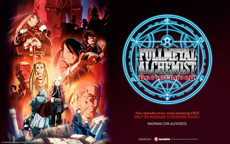 rockbell, may, alphonse, art, hawkeye, winry, Fullmetal Alchemist, hd, roy, Alphonse Elric, chang, alchemist, riza, elric, fullmetal, full, metal, mustang