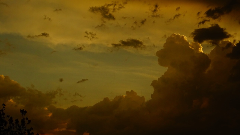 cloud - sky, low angle view, nature, ominous, orange color, scenics - nature, tree, 5K, non-urban scene, storm clouds, sky, tranquil scene, no people