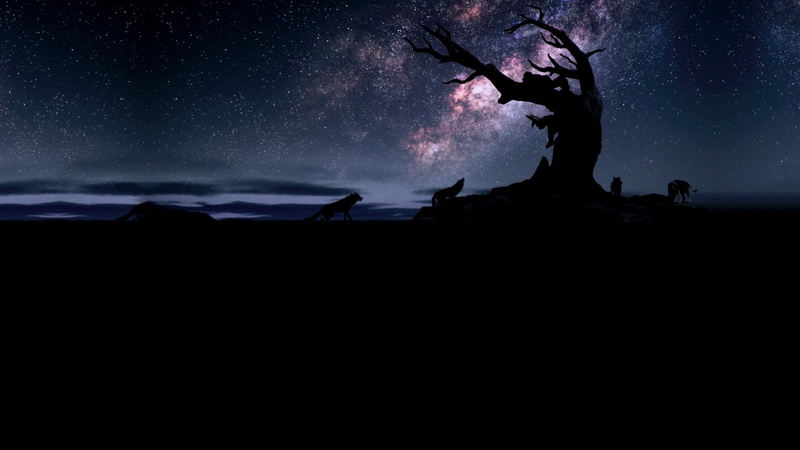 silhouette, night, sky, 1080P, tree trunk, wolf