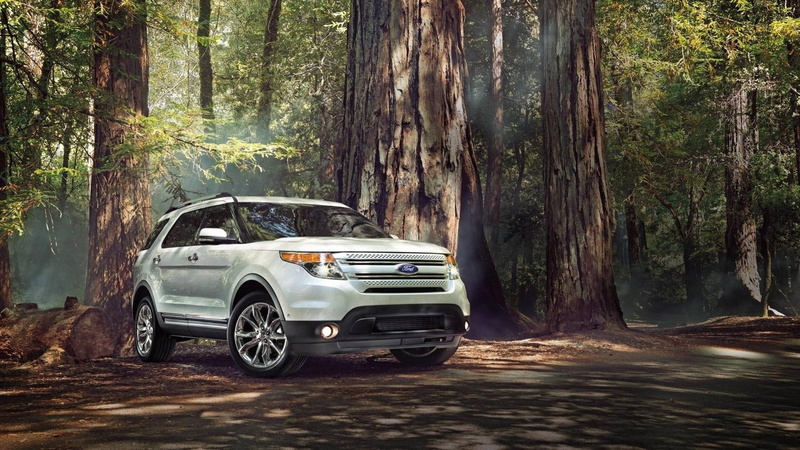 Ford, car, white cars, tree trunk, forest, 1080P, Ford Explorer