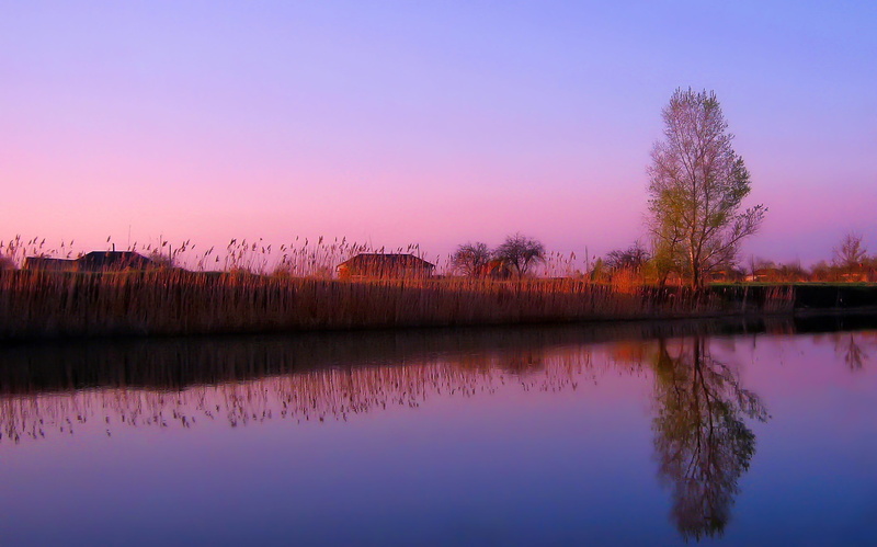 idyllic, no people, sky, reed, tranquil scene, water, nature, scenics - nature, village, reflection lake, tree, outdoors, tranquility, morning, plant, lake