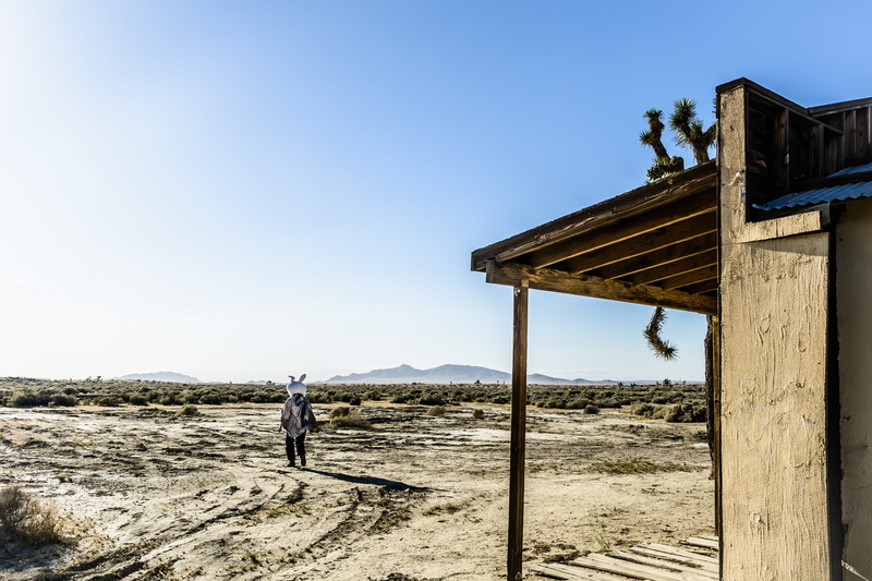 united states, landscape, blue sky, patio, human, ground, wood - material, porch, person, built structure, tranquil scene, architecture, joshua tree, no people