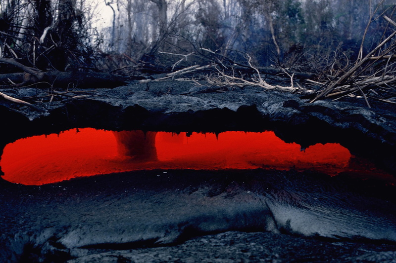 lava, nature, outdoors, scenics - nature, brown, forest, no people, plant, water, environment, natural disaster, 2K, land, beauty in nature, trunks, red