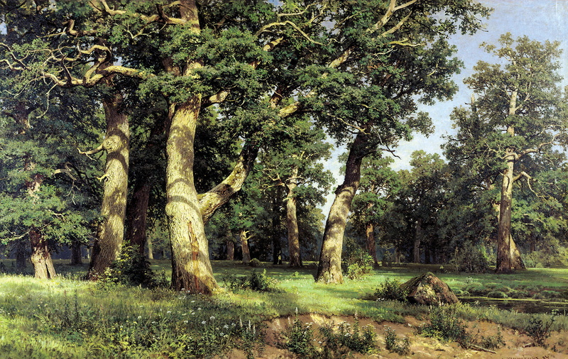 canvas, trunk, green Color, park - Man Made Space, nature, reproduction, bush, woodland, landscape, beauty In Nature, grass, field, scenics - nature, picture