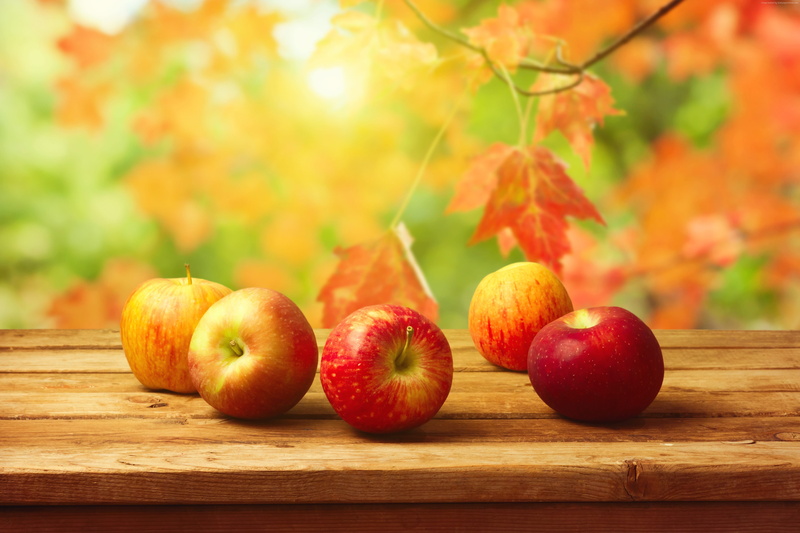 autumn, apple, 4K, fruit, 4K