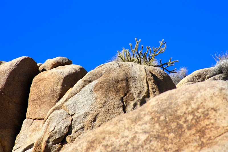 stone, outdoors, cloudless, no people, succulent plant, arid climate, 2K, rock - object, day, cactus, clear sky, landscape, environment, rock, eroded